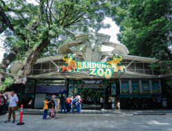 Farhan Tegaskan Kebun Binatang Bandung Jadi Ruang Terbuka Hijau untuk Masyarakat
