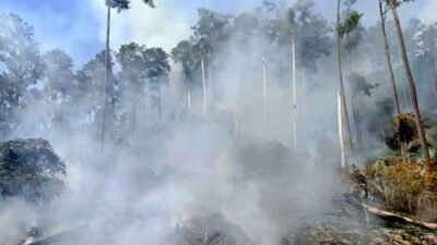 kebakaran angin kencang