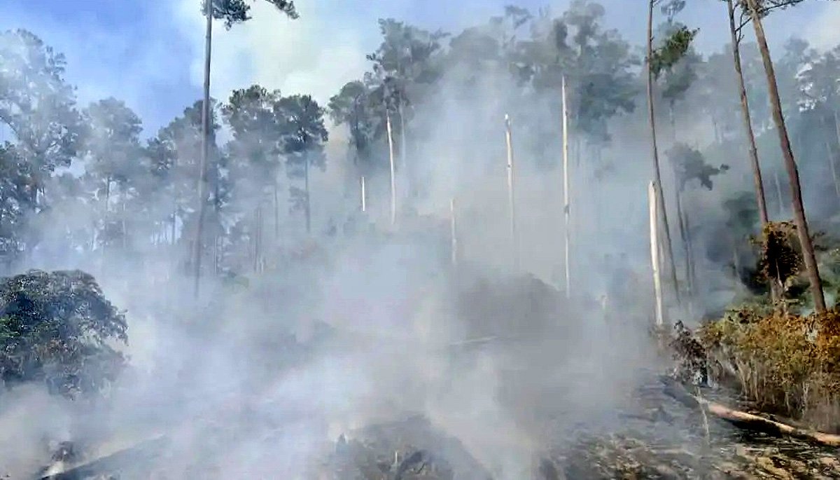 kebakaran angin kencang