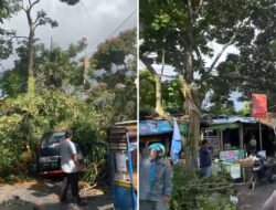 Angin Puting Beliung Terjang Cimahi: 129 Rumah Rusak, 4 Orang Luka-luka